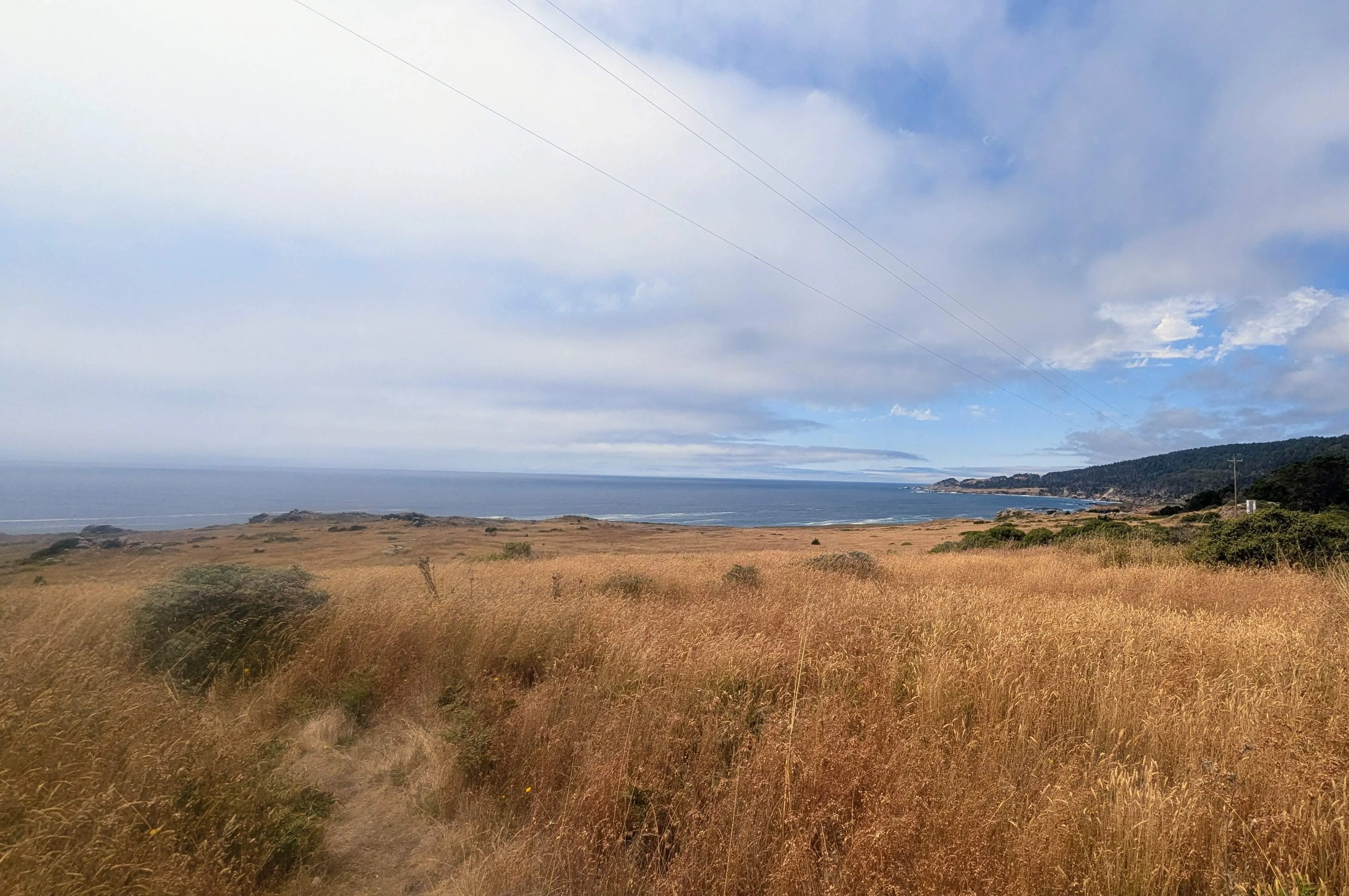 View of the California coastline with a grassy foreground