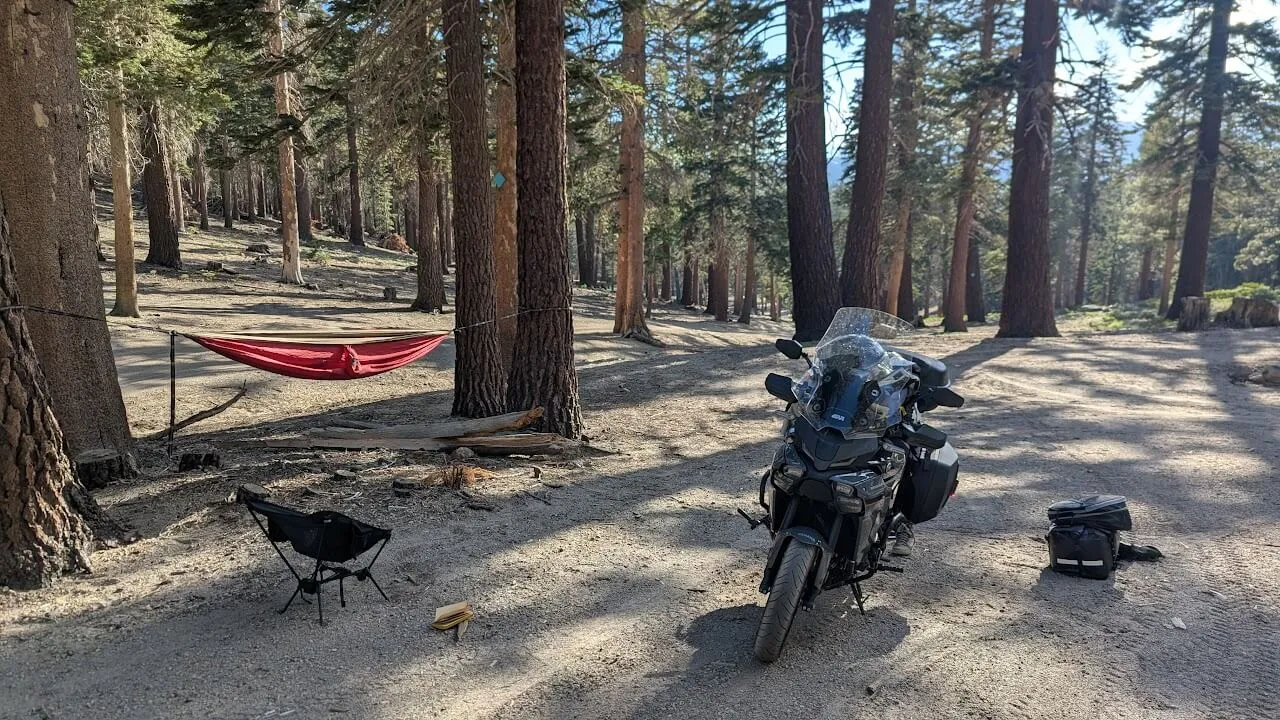 Campsite on a forest road off Mammoth seneic drive